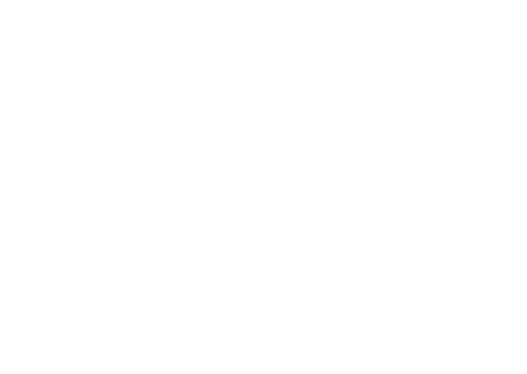 Kôň 09